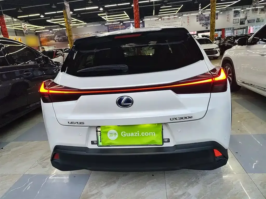 Lexus UX New Energy — фото 6