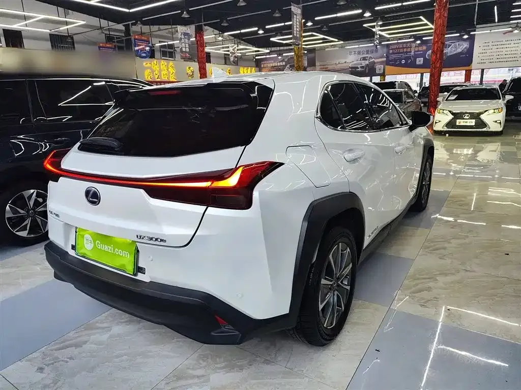 Lexus UX New Energy — фото 7