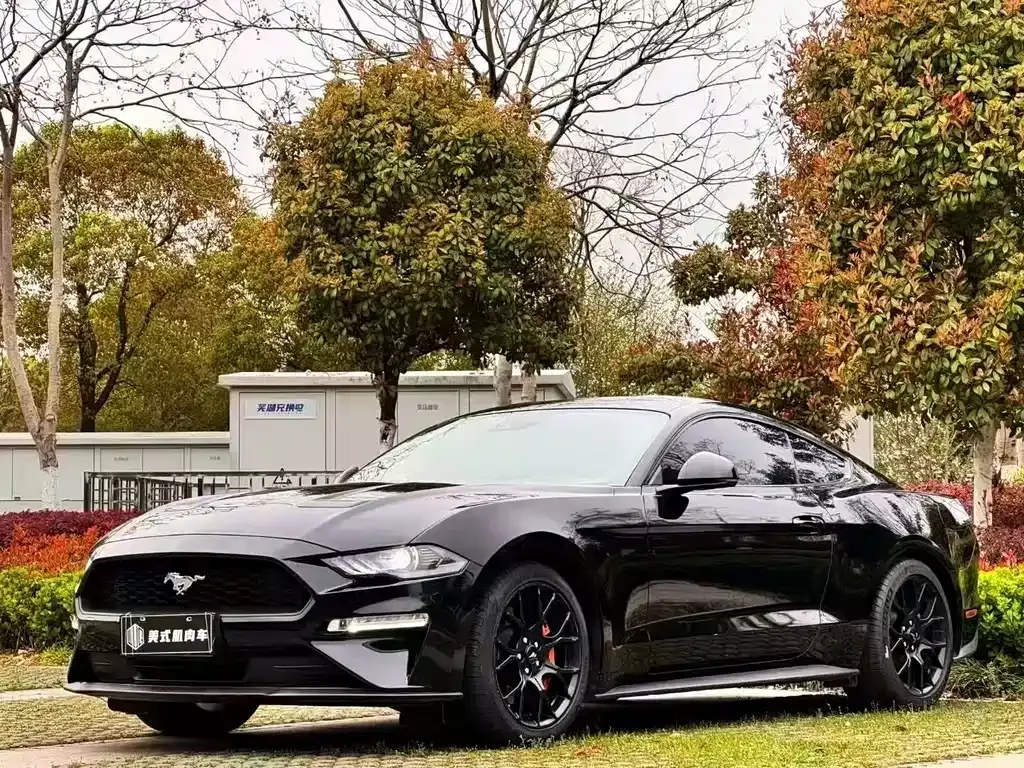 Ford Mustang — фото 1
