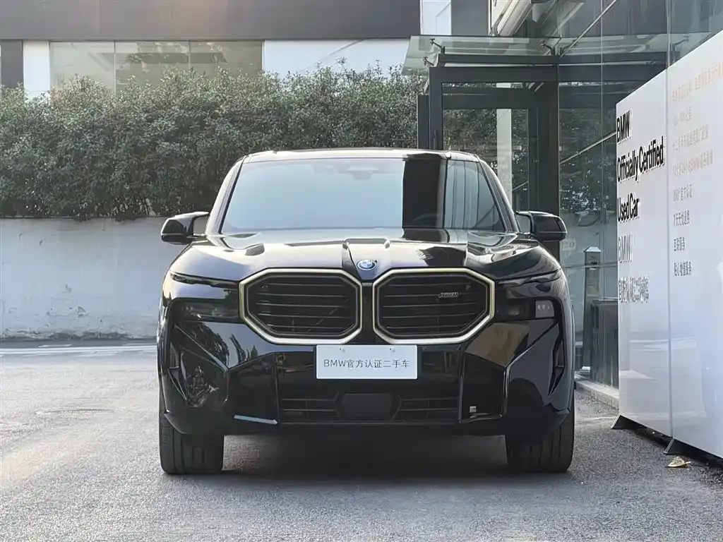 BMW XM — фото 2