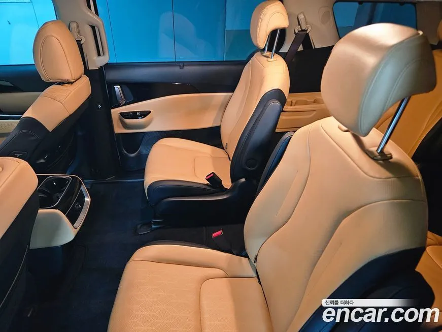 Kia Carnival — фото 10