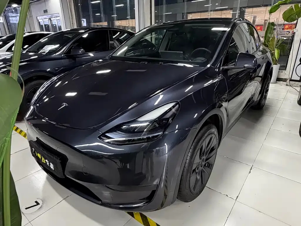 Tesla Model Y — фото 1