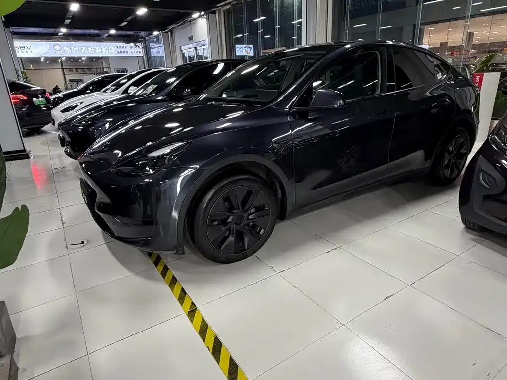 Tesla Model Y — фото 2