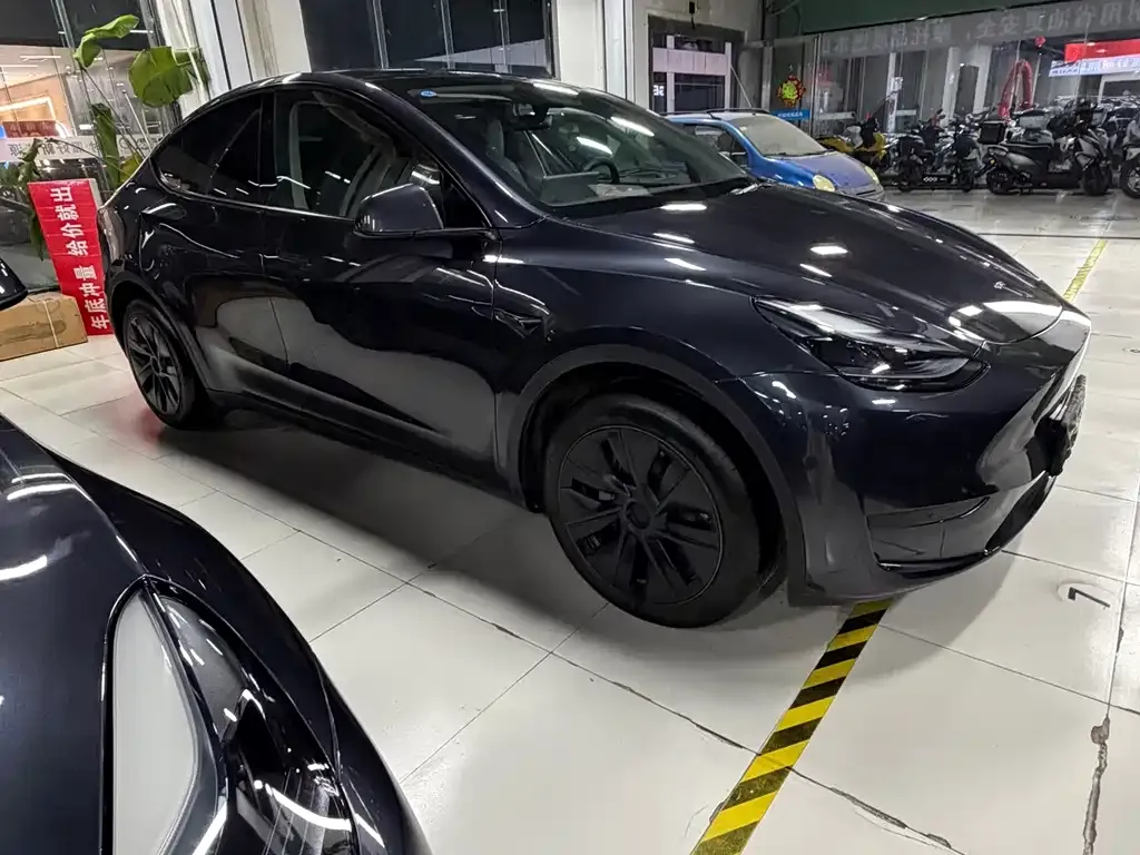 Tesla Model Y — фото 3