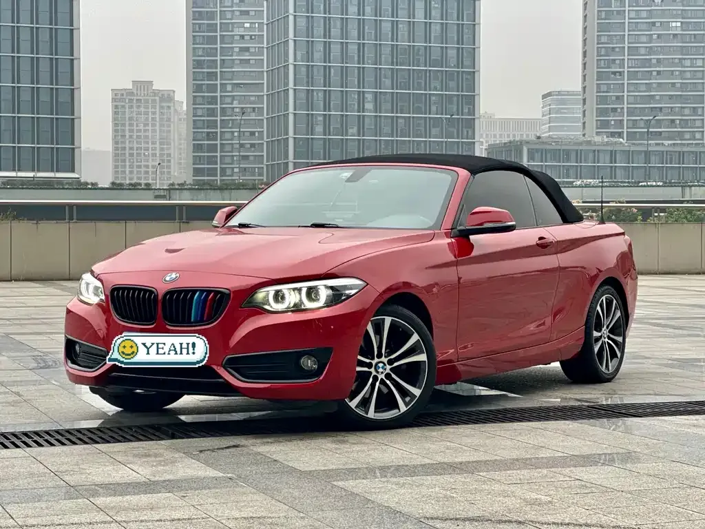 BMW 2 Series (Import) — фото 1