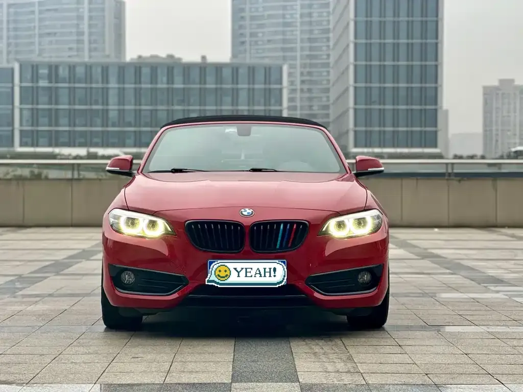 BMW 2 Series (Import) — фото 3
