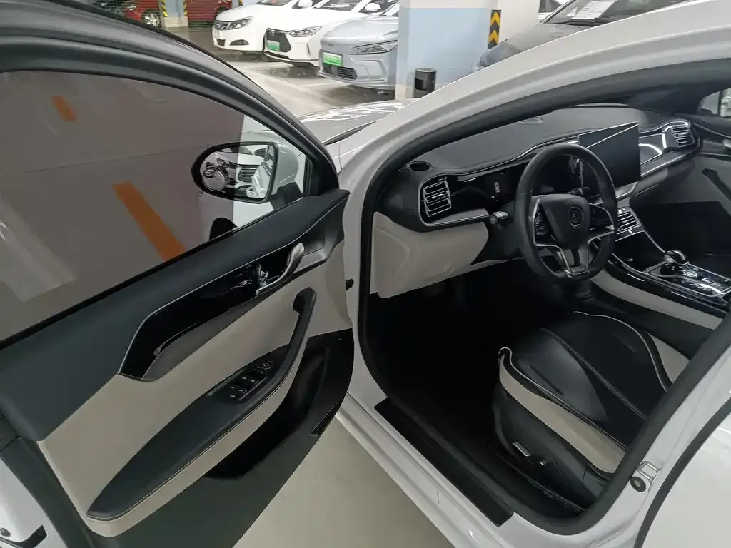 BYD Qin PLUS — фото 10