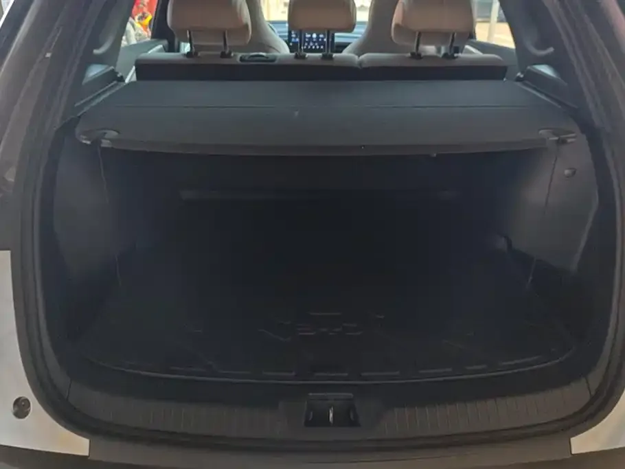 BYD Pro New Energy — фото 4