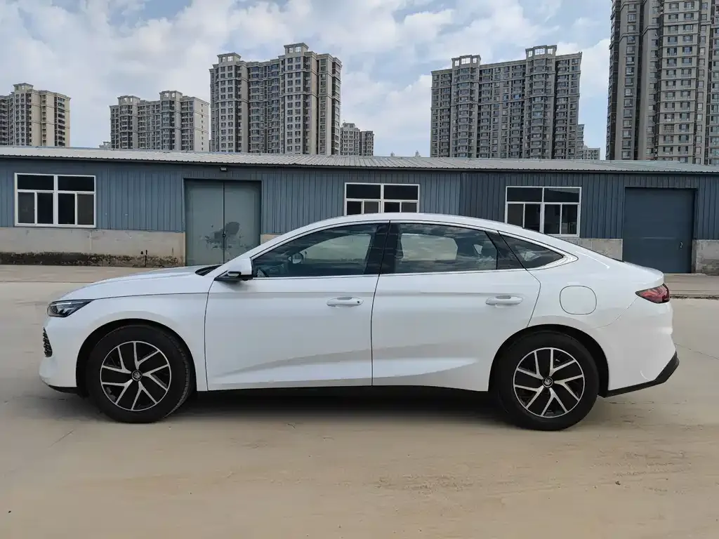 BYD Qin L — фото 4