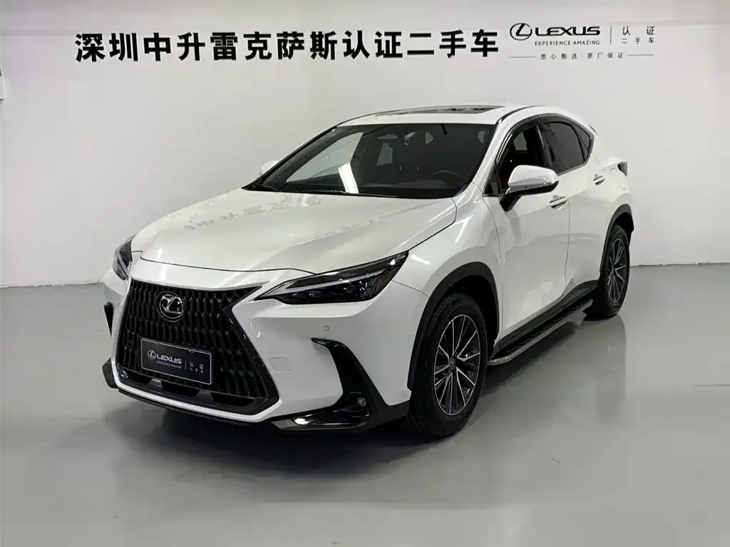 Lexus NX New Energy — фото 1