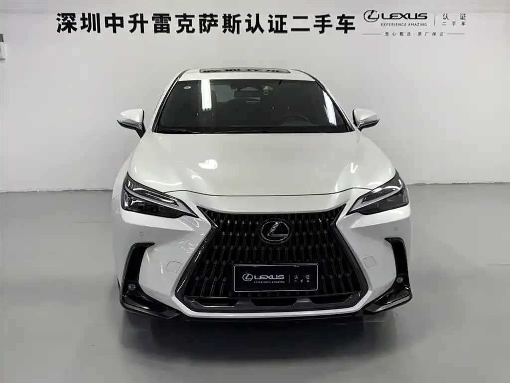 Lexus NX New Energy — фото 2