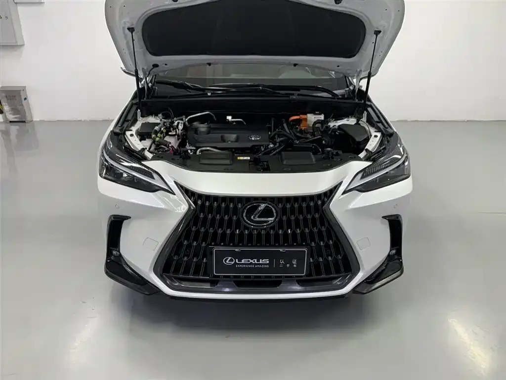 Lexus NX New Energy — фото 3