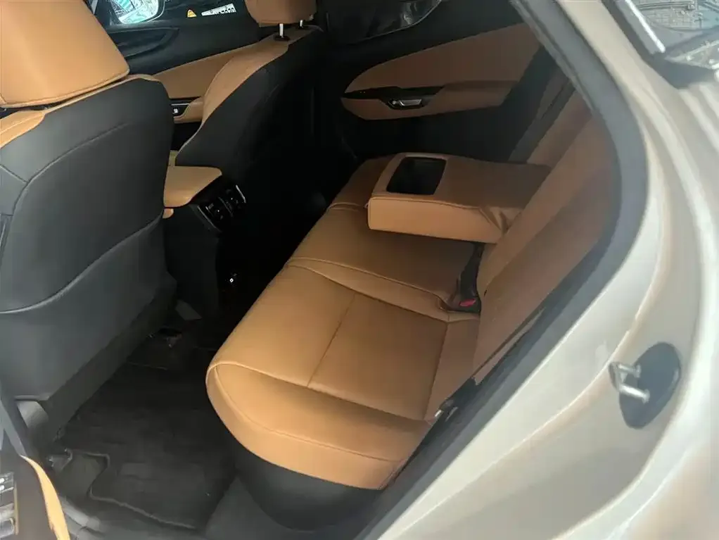 Lexus NX New Energy — фото 6