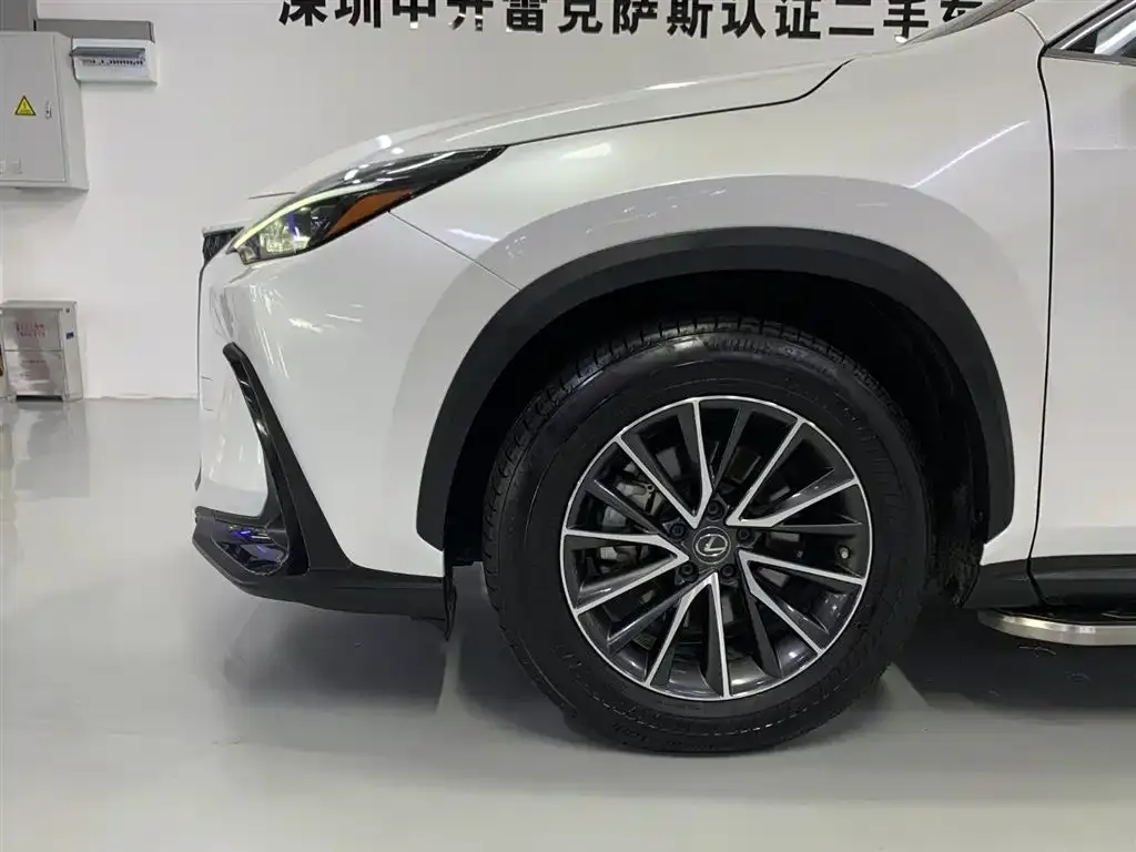 Lexus NX New Energy — фото 7