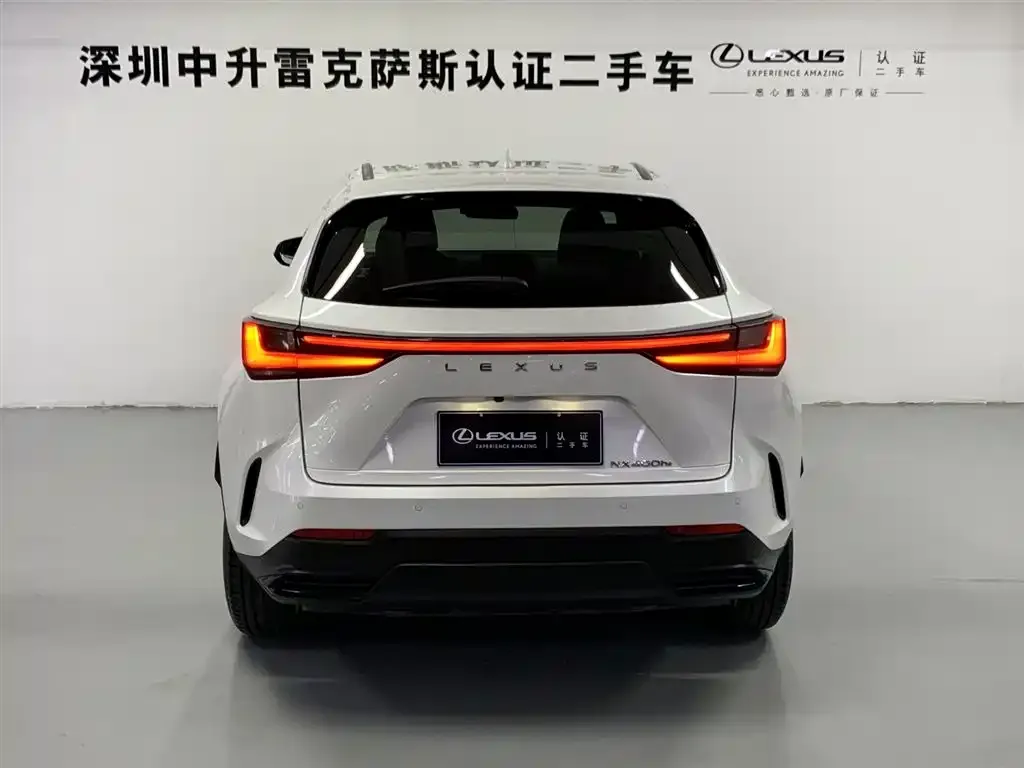 Lexus NX New Energy — фото 9