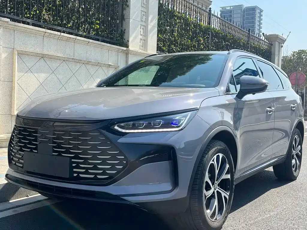 BYD Tang New Energy — фото 1