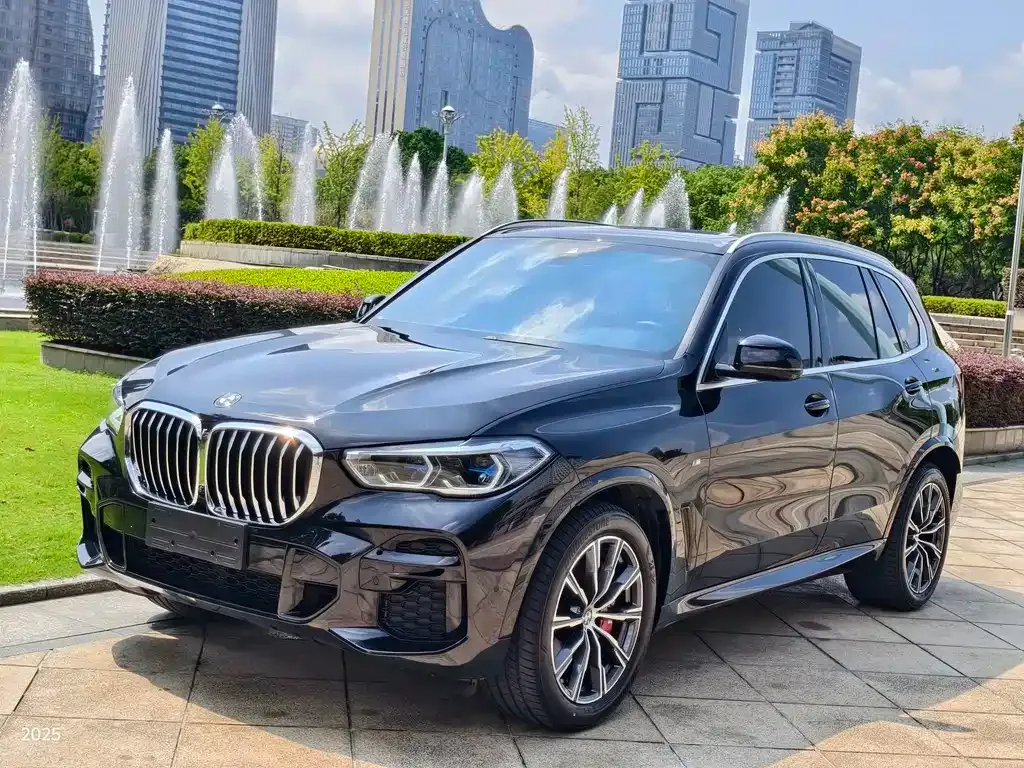 BMW X5 (Import) — фото 1