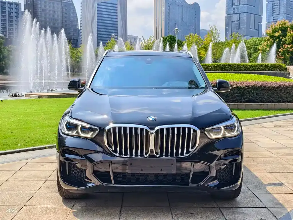 BMW X5 (Import) — фото 2