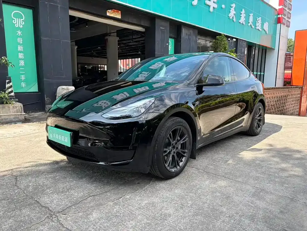 Tesla Model Y — фото 1
