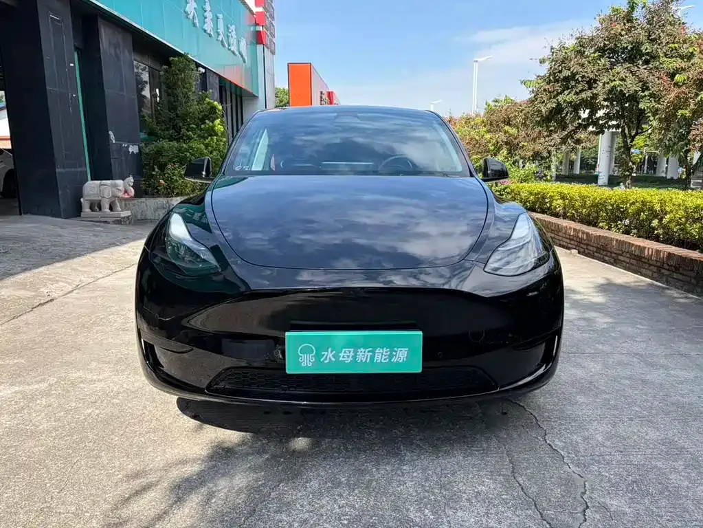 Tesla Model Y — фото 2