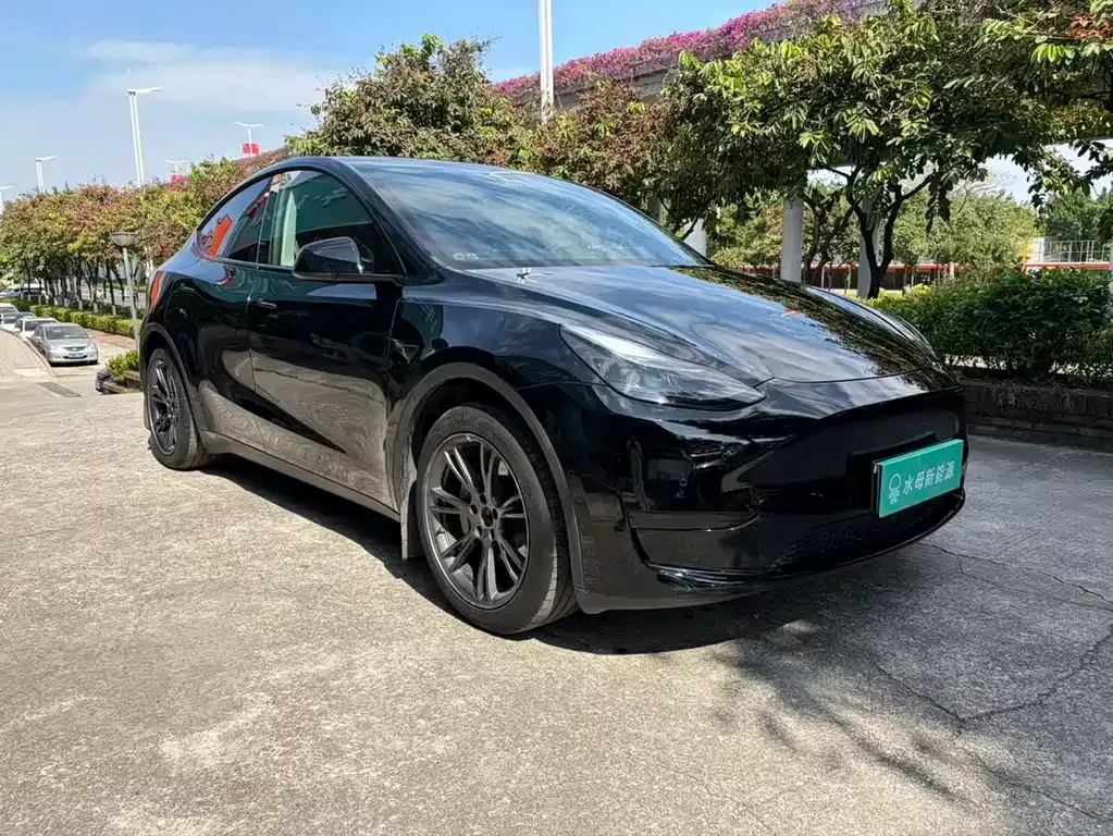 Tesla Model Y — фото 3