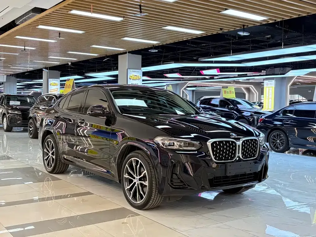 BMW X4 — фото 7