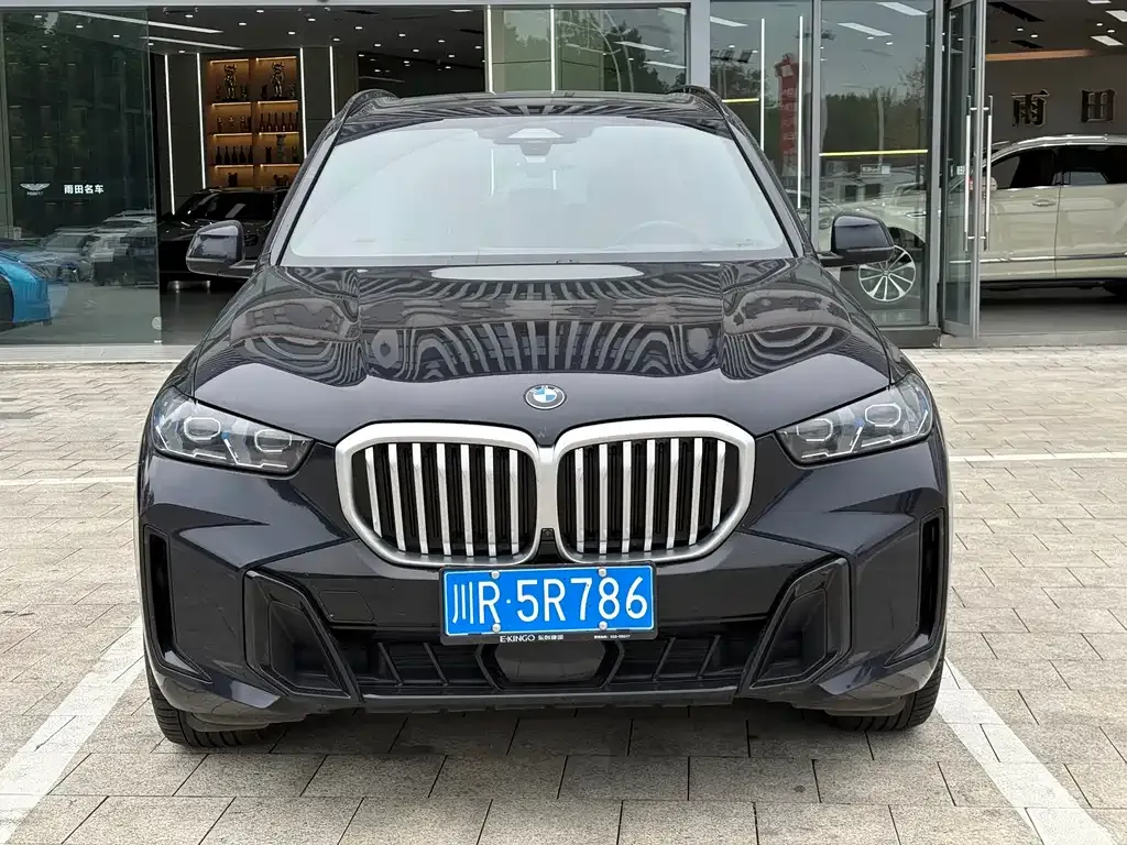 BMW X5 — фото 2