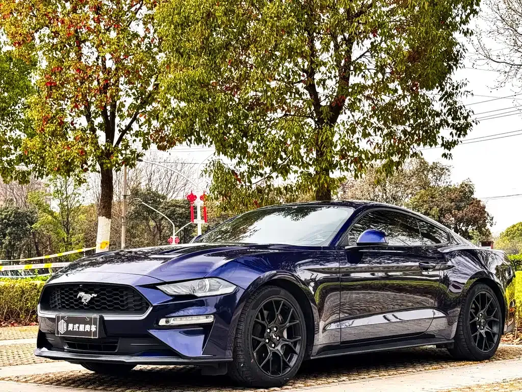 Ford Mustang — фото 1