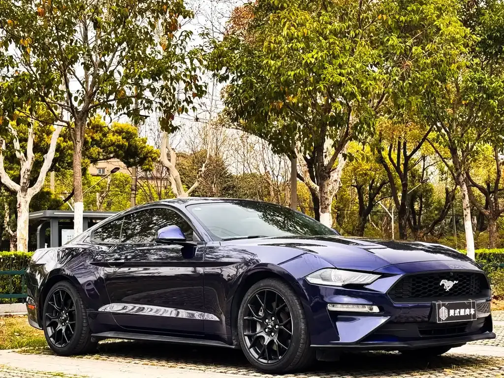 Ford Mustang — фото 3