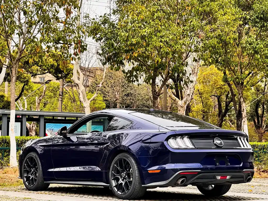 Ford Mustang — фото 6