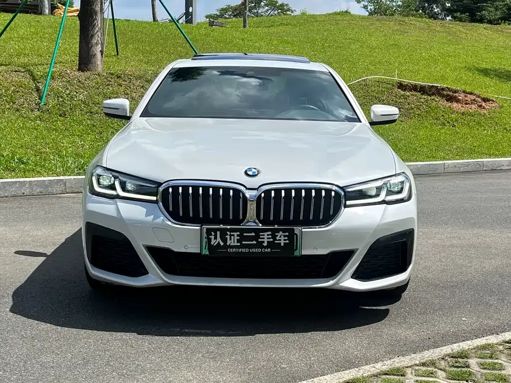 BMW 5 Series New Energy — фото 2