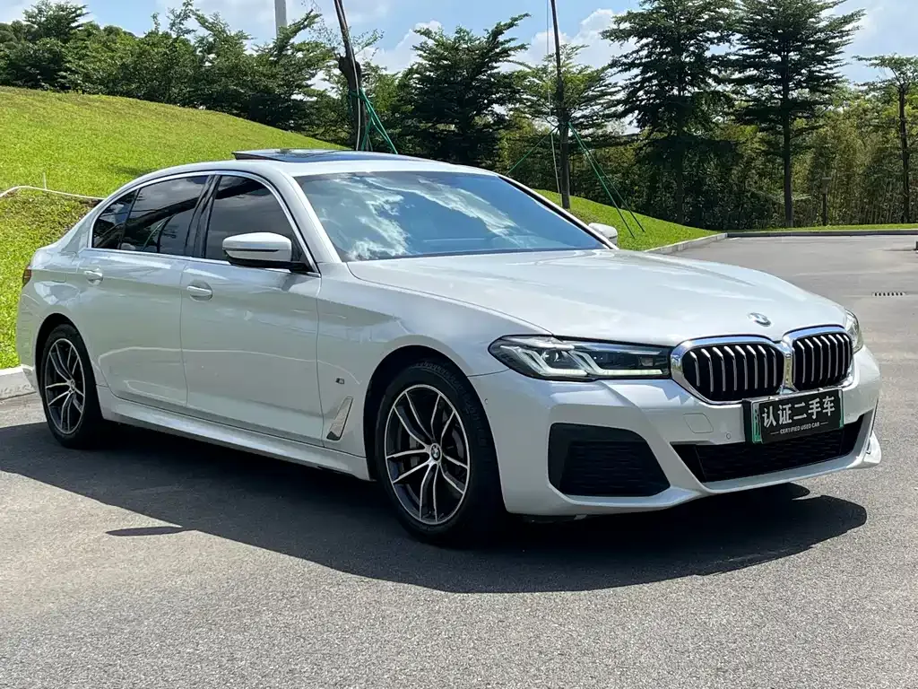 BMW 5 Series New Energy — фото 3