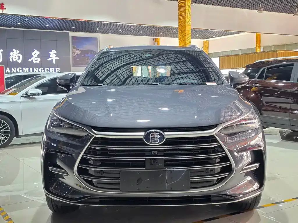 BYD Tang New Energy — фото 2