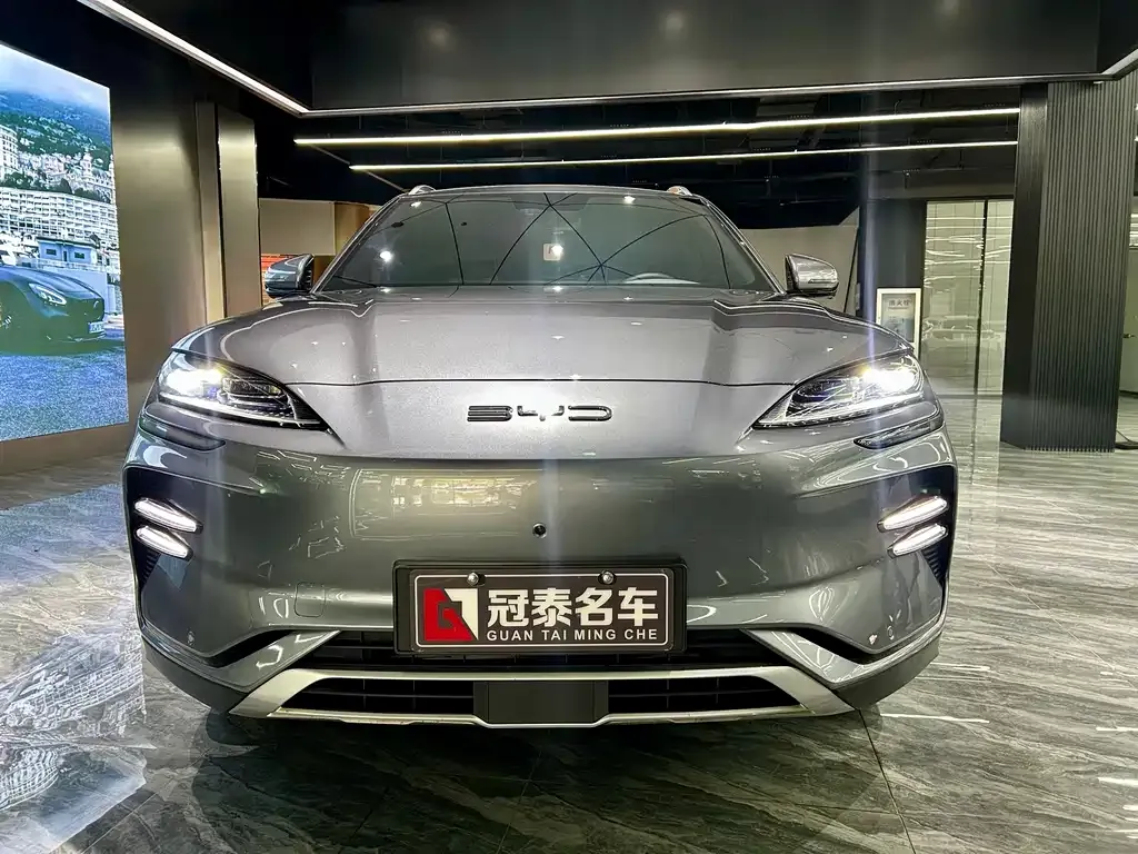 BYD PLUS New Energy — фото 2