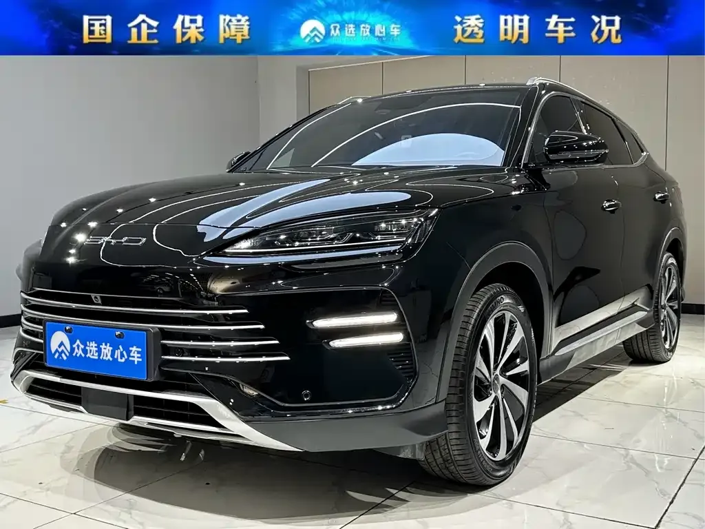 BYD PLUS New Energy — фото 1