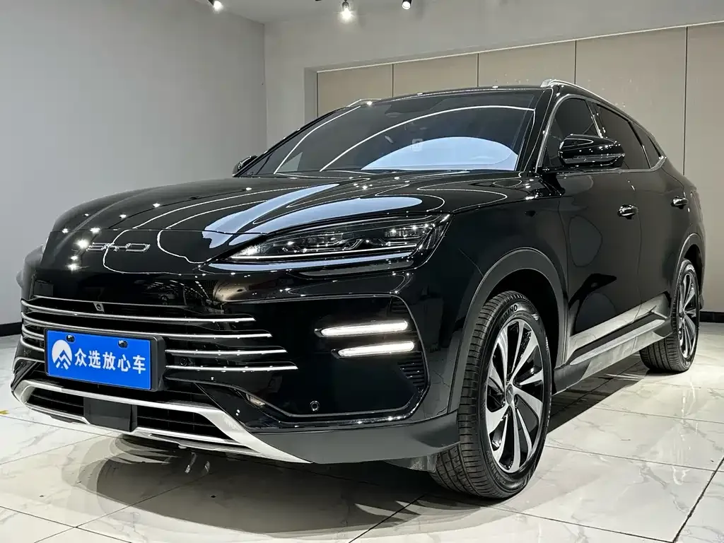 BYD PLUS New Energy — фото 2
