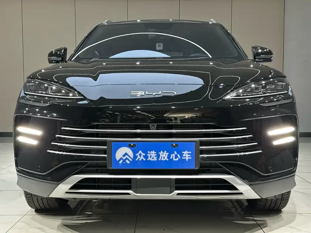 BYD PLUS New Energy — фото 3