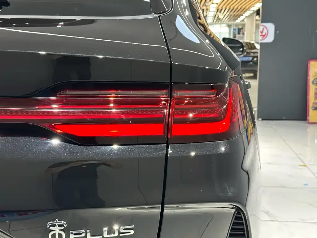 BYD PLUS New Energy — фото 8
