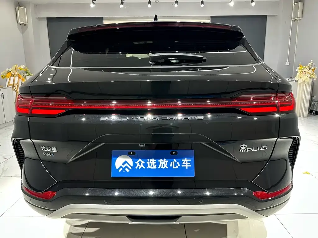 BYD PLUS New Energy — фото 9