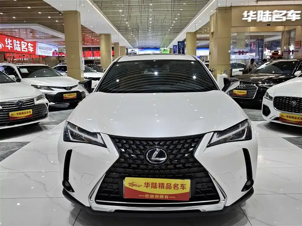 Lexus UX New Energy — фото 2