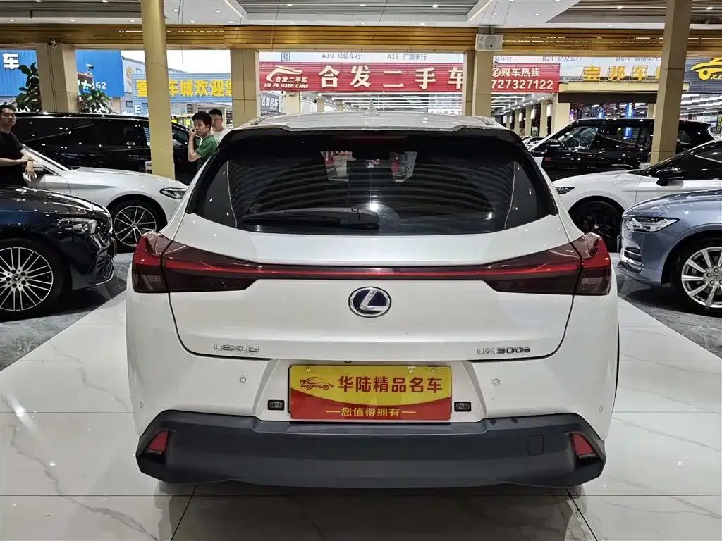 Lexus UX New Energy — фото 4