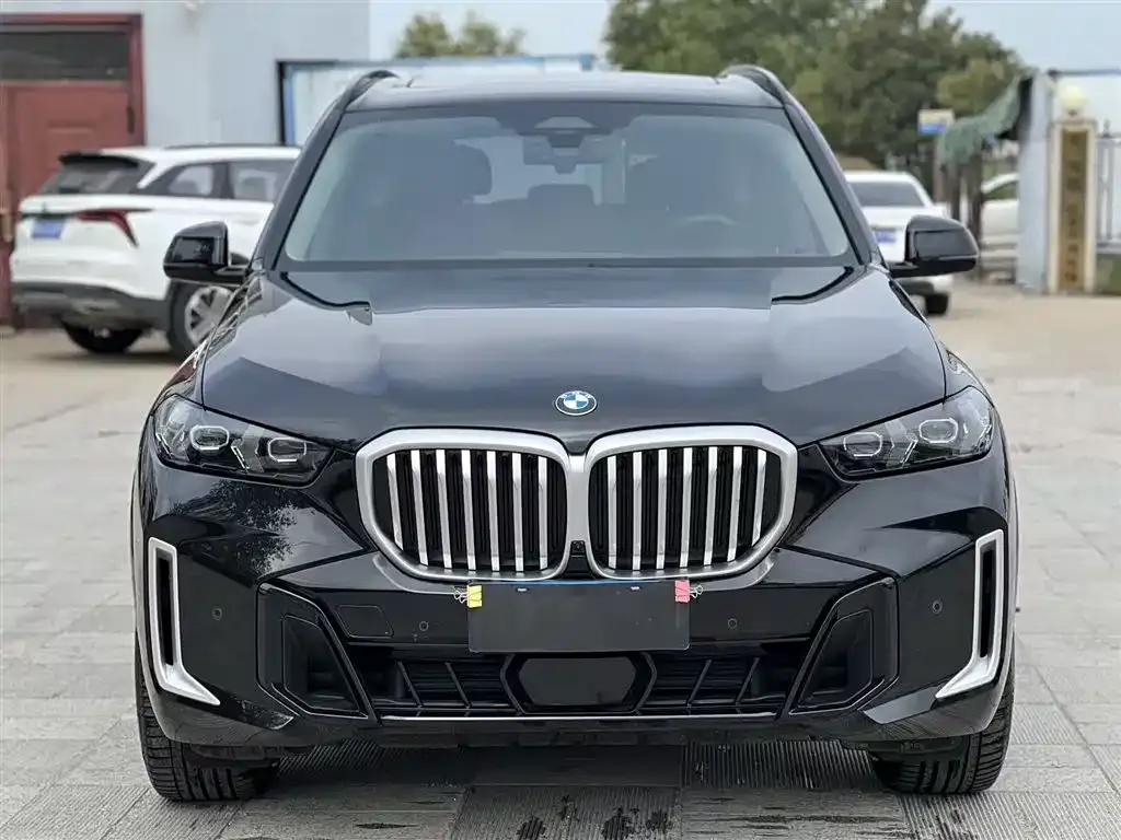 BMW X5 — фото 3