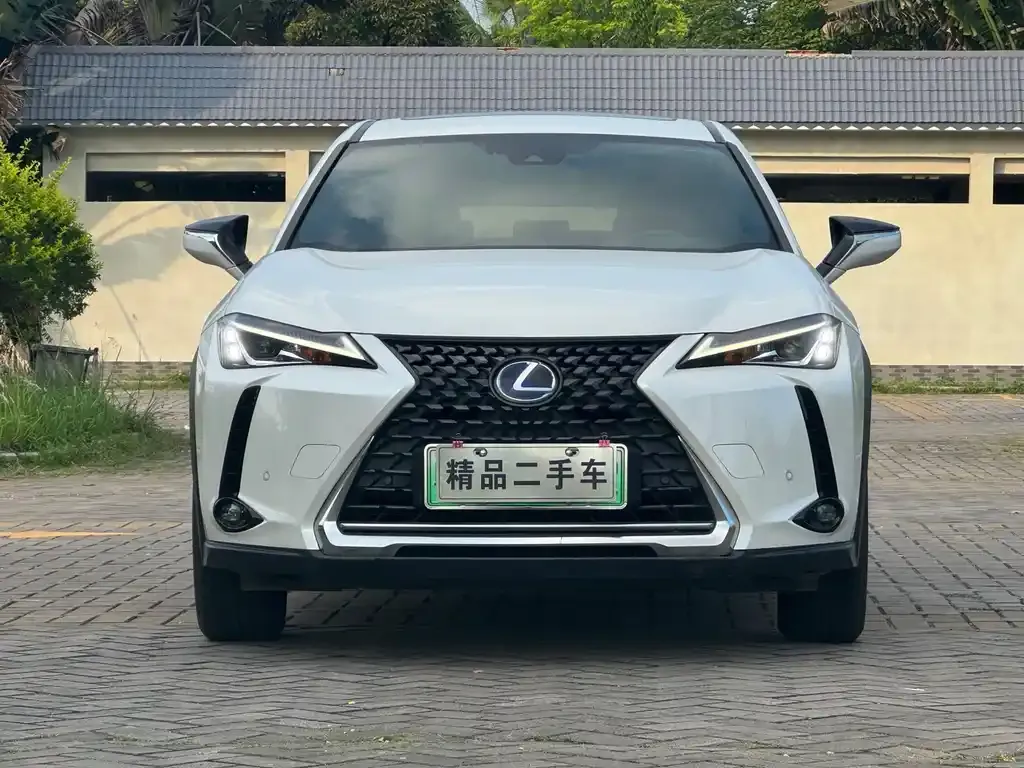 Lexus UX New Energy — фото 1