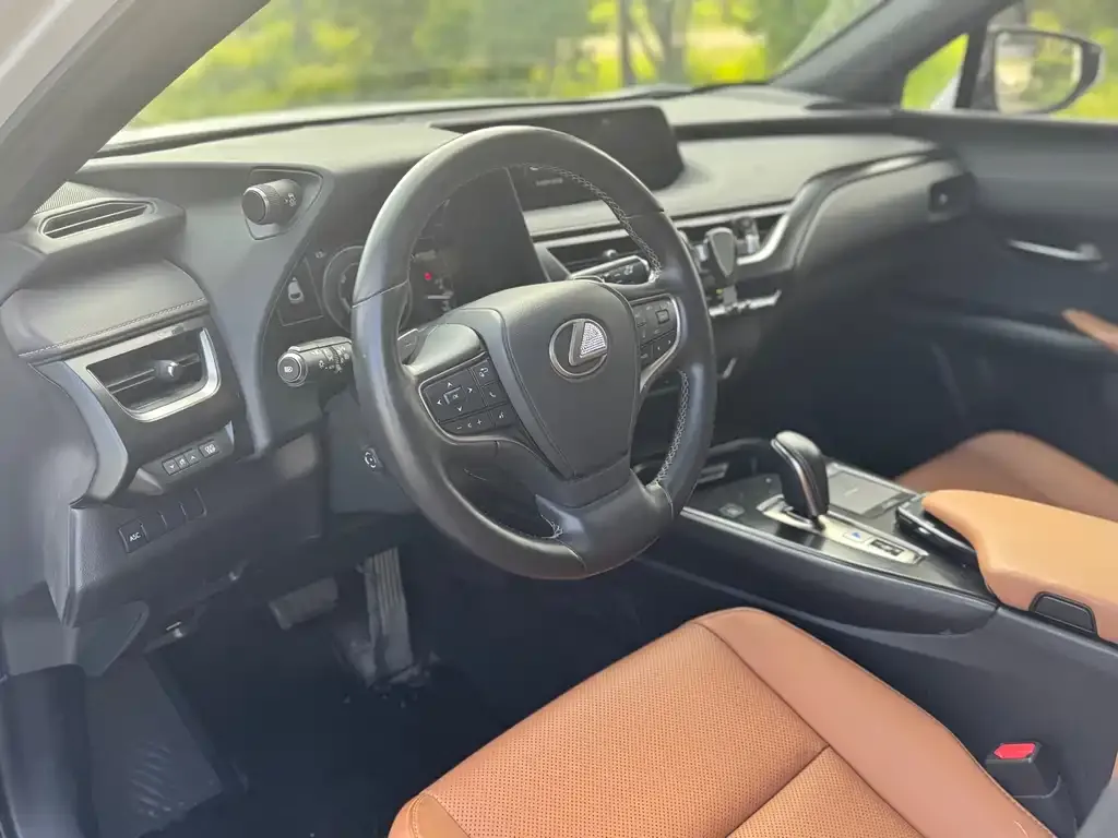 Lexus UX New Energy — фото 10