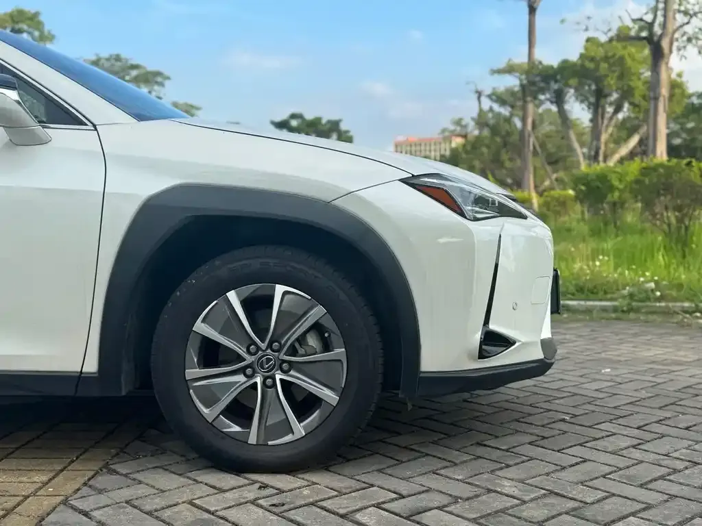 Lexus UX New Energy — фото 4