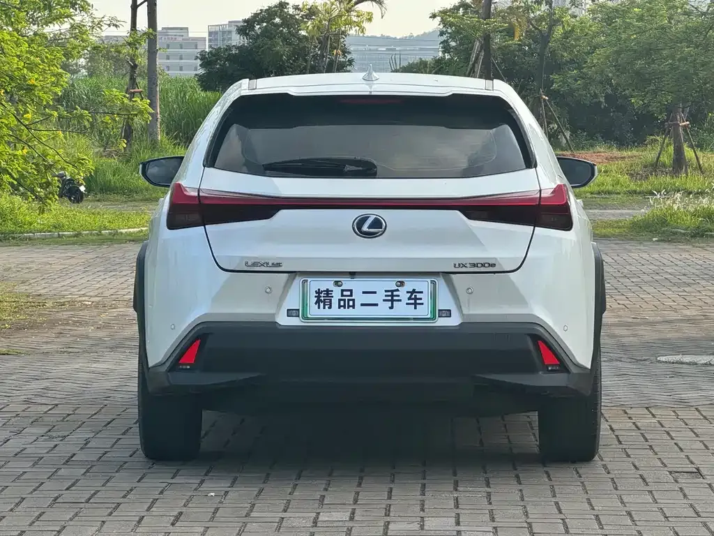 Lexus UX New Energy — фото 6