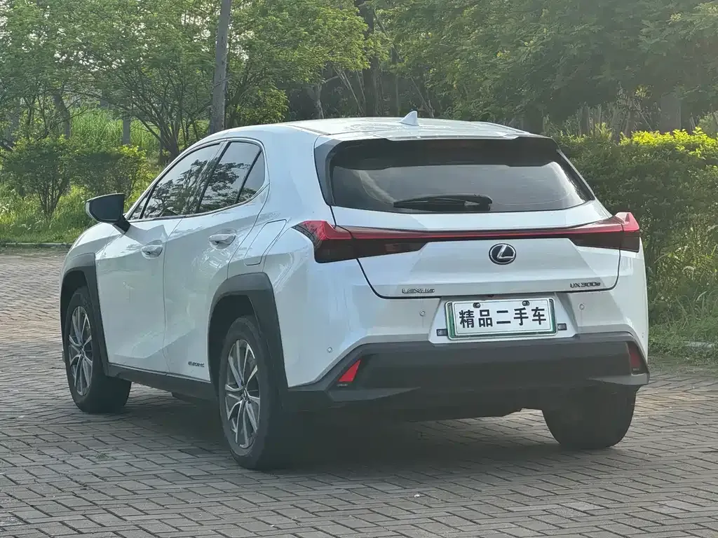 Lexus UX New Energy — фото 7