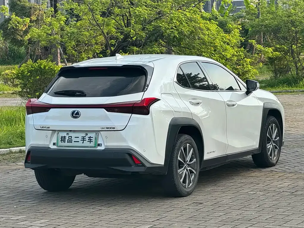 Lexus UX New Energy — фото 8