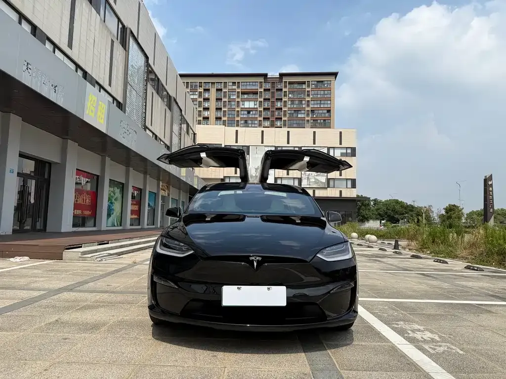 Tesla Model X — фото 1