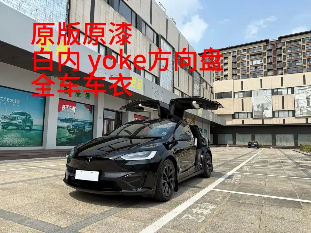 Tesla Model X — фото 2